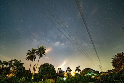 Low angle view of trees against sky at night