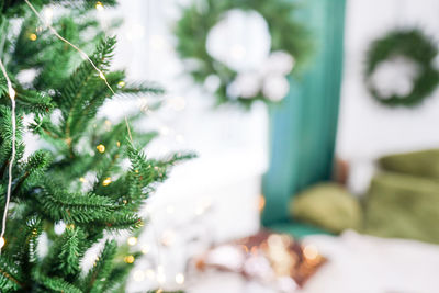 Fir tree branches with glowing yellow christmas light in the room , winter christmas in