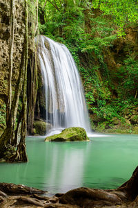 Scenic view of waterfall in forest