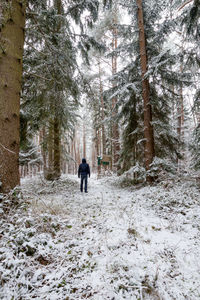 Rear view of people walking on snow covered land