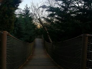 Footbridge amidst trees in forest