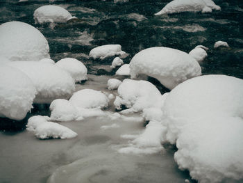 High angle view of sheep on frozen sea