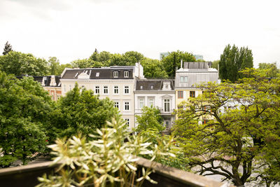 View of plants and trees