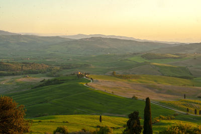 Scenic view of agricultural field against sky during sunset