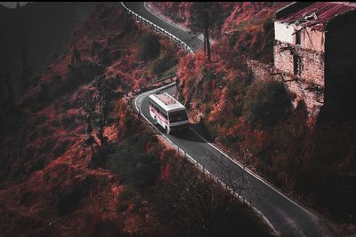 High angle view of road amidst trees