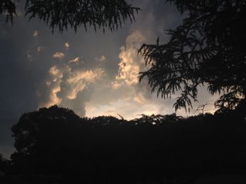 Silhouette trees against sky at sunset