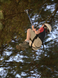 Low angle view of boy zip lining against branches