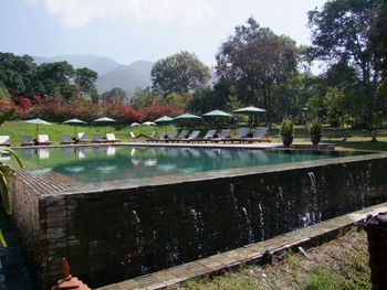 Swimming pool by trees against sky