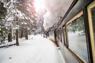 Smoke emitting train on snow covered field
