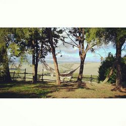 Scenic view of trees by river