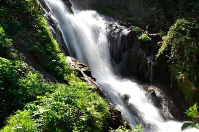 Waterfall in forest