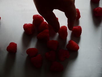 High angle view of woman with red berries