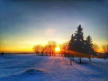 Sun shining through trees on snow covered field