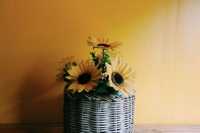 Close-up of yellow flowers in vase against wall