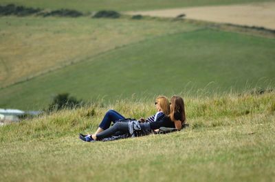 Dog relaxing on grassy field