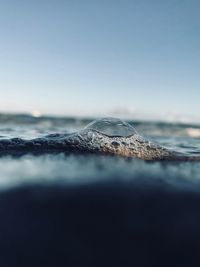 Close-up of sea against clear sky