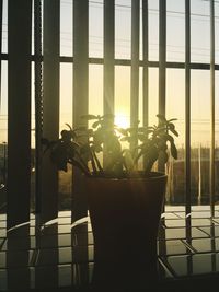Silhouette of building against sky