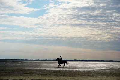 People riding on beach against sky