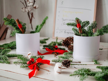 Potted plant on table at home