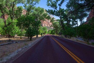 Empty road along trees