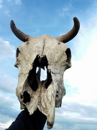 Low angle view of animal skull