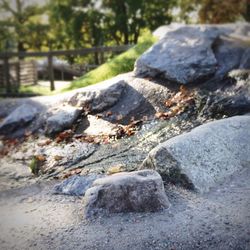 Close-up of rocks