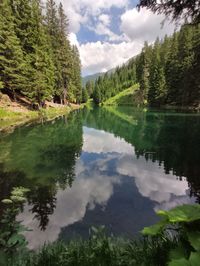 Scenic view of lake by trees against sky