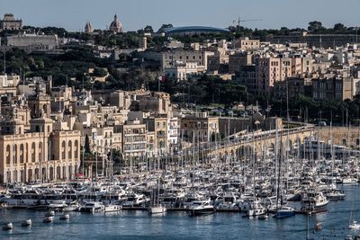 Sailboats in city