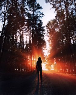 Rear view of silhouette woman standing on road in forest during sunset