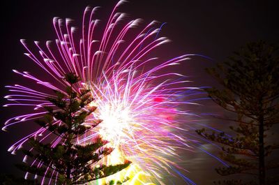 Low angle view of firework display