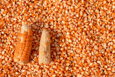 Full frame shot of corn