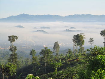 Scenic view of trees and mountains against sky