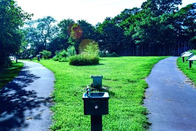 Footpath in park