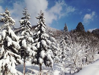 Scenic view of snow covered landscape