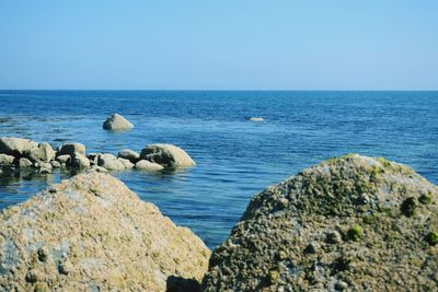 Scenic view of sea against clear blue sky