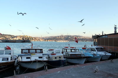 Boats moored at harbor against clear sky