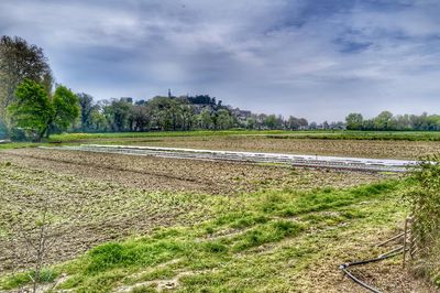 Scenic view of field against sky