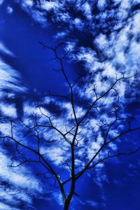Low angle view of silhouette branches against blue sky