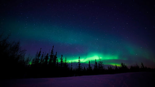 Scenic view of star field against sky at night