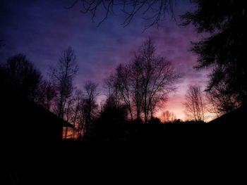 Silhouette trees against sky at sunset