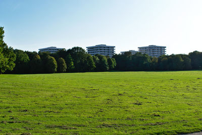 Scenic view of field against clear sky