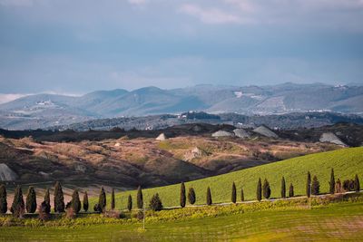 Scenic view of field by mountains against sky