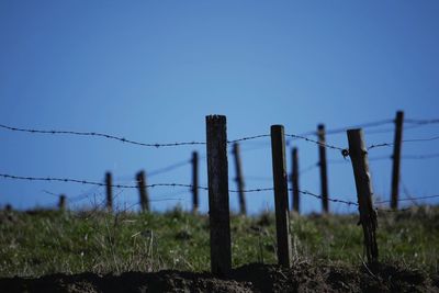 Barbed wire fence on grassy field