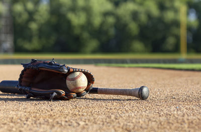 Close-up of snail on field