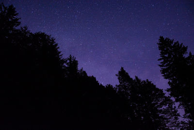 Low angle view of silhouette trees against sky at night