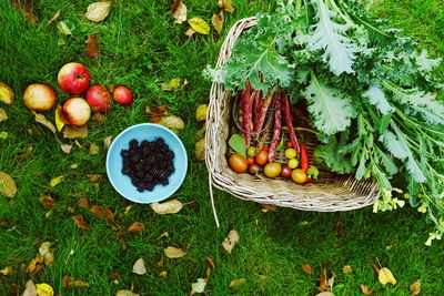 High angle view of fruits in basket on grass field