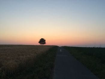 Road passing through field