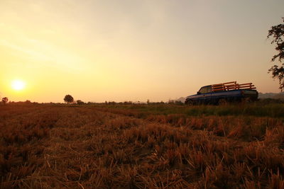 Scenic view of field against sky during sunset