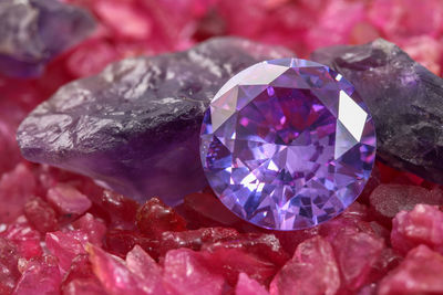 Close-up of purple petals on rock