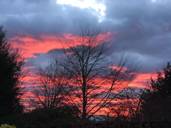 Silhouette bare trees against sky during sunset